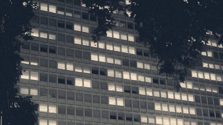 Rows of glowing office windows in a large building at night, framed by dark tree silhouettes.