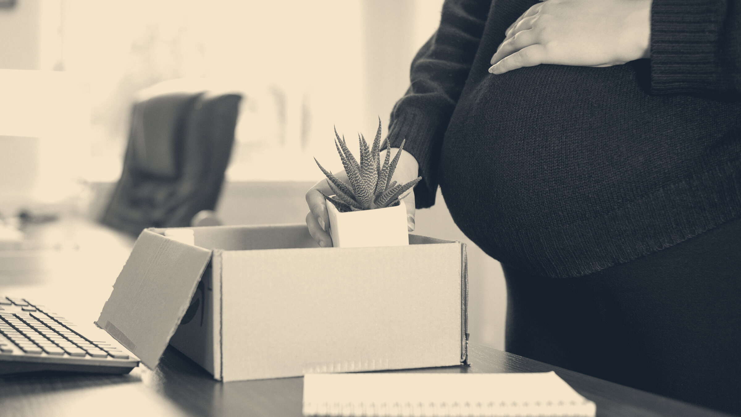 Pregnant woman cradling her bump packs a desk plant into a cardboard box in a bright office