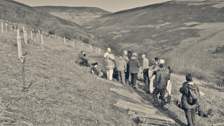 Volunteers with spades and timber stakes gather on a Peak District hillside to plant trees along a moorland valley.